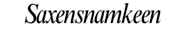 saxenasnamkeen.com