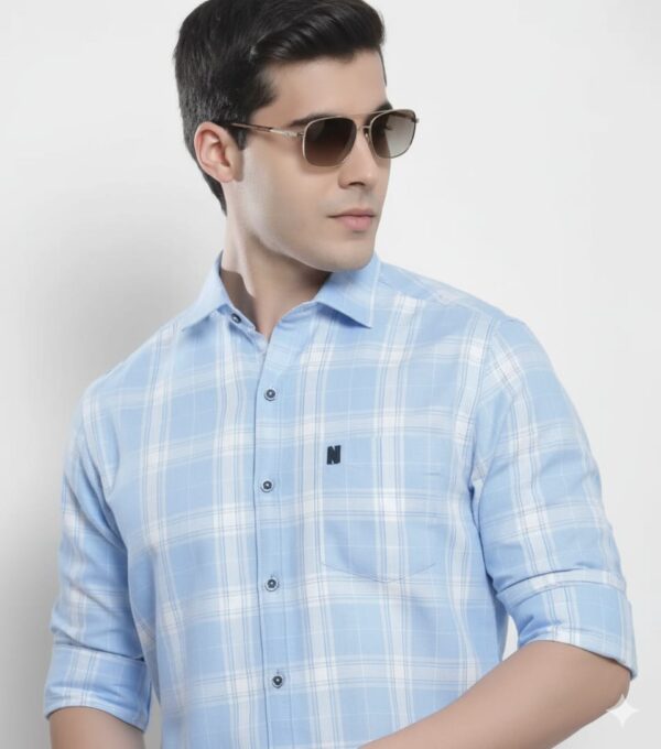 men's light blue and white checked shirt.